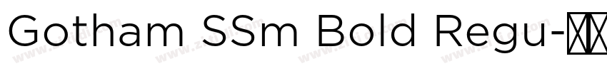 Gotham SSm Bold Regu字体转换